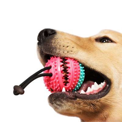 Rubber Pet Cleaning Balls Toys Ball Chew Toys Tooth Cleaning Balls Food Dog Toy natural rubber dog toy